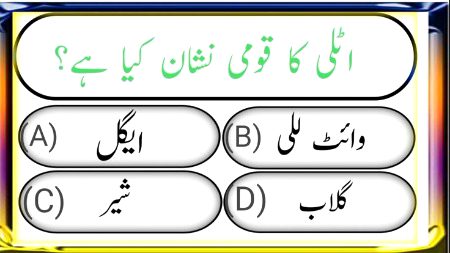 Knowledge Test image