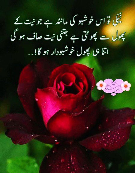 Asslam O Alaikum To All Sweet dd family 🌹