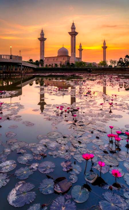 Beautiful Nature image