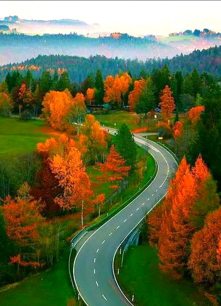 Beautiful Nature image