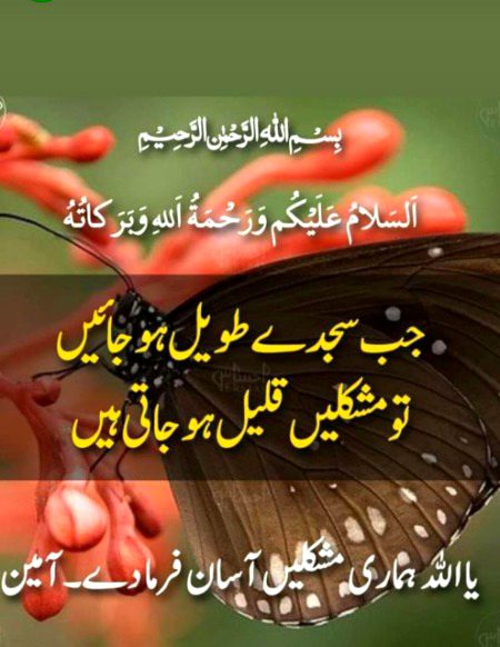 Islamic Quotes image