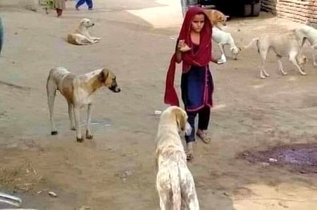 گزر جاؤ بیٹی ہم کتے ہیں انسان نہیں.
