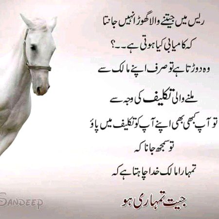 ۔ صبر کیجئے  ۔۔  شکر کیجئے