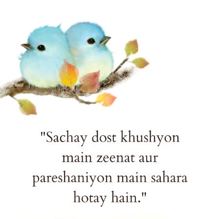 Life Advice image