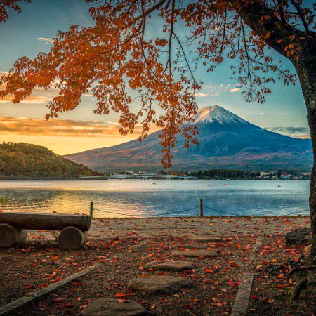 Beautiful Nature image