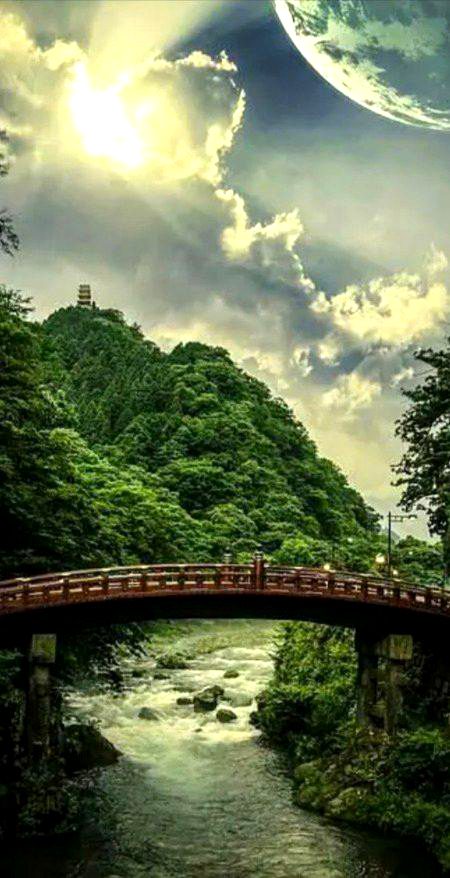 Beautiful Nature image