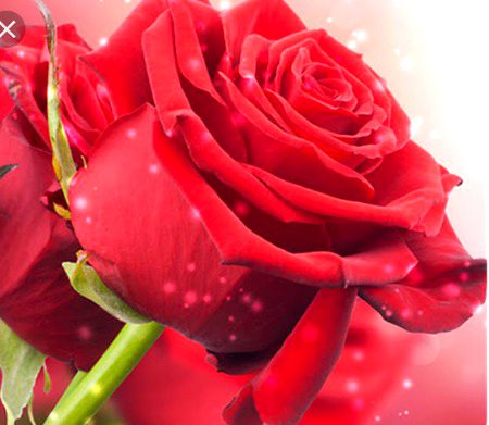 Beautiful Nature image