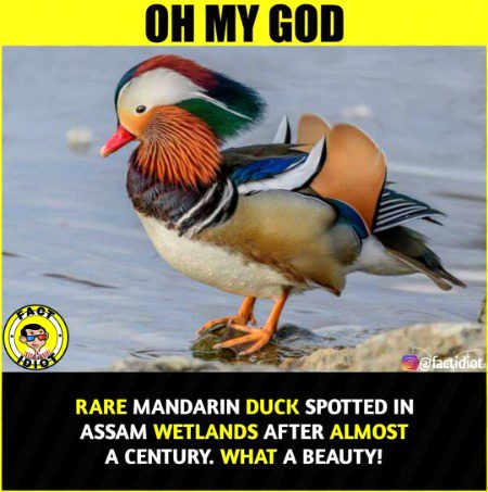 Interesting Posts image