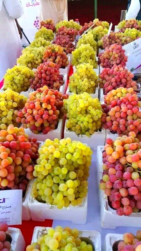 Beautiful Nature image