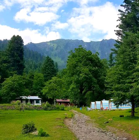 Beautiful Nature image