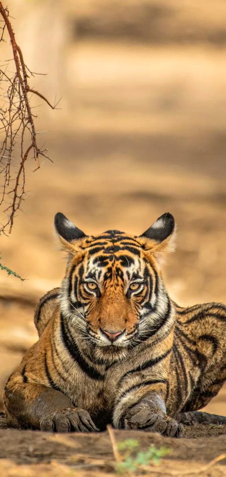 Beautiful Nature image