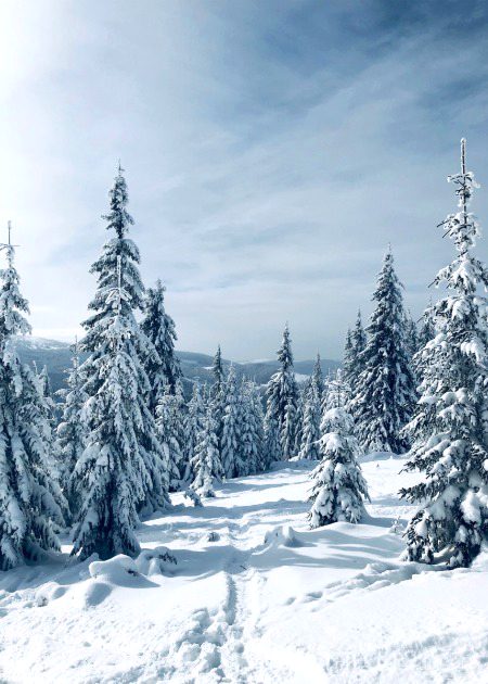 Beautiful Nature image