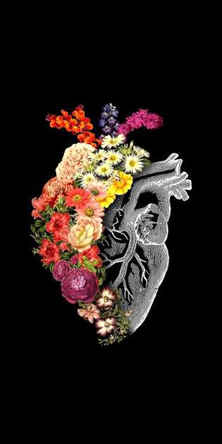 Beautiful art ❤️👍