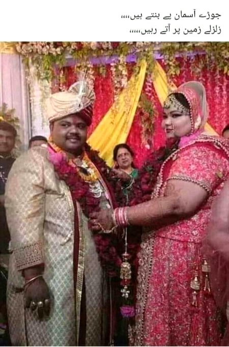 Memes & Satire image