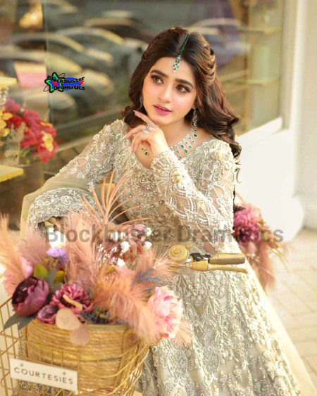 Pakistani Celebs image