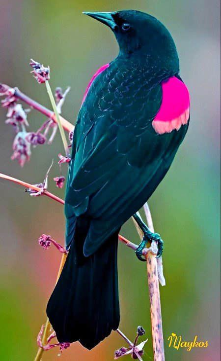 Beautiful Nature image