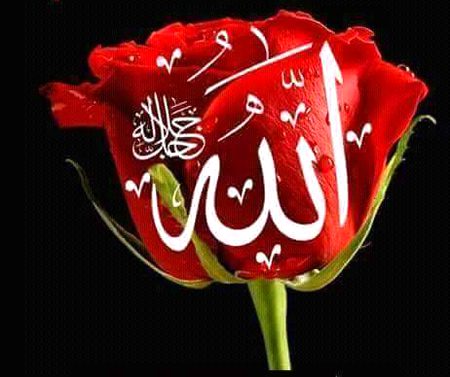 Islamic Quotes image