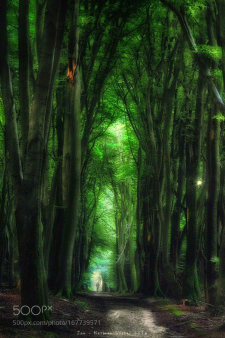 Beautiful Nature image