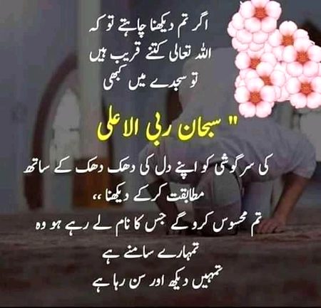Islamic Quotes image