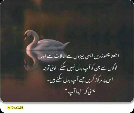 Life advice..