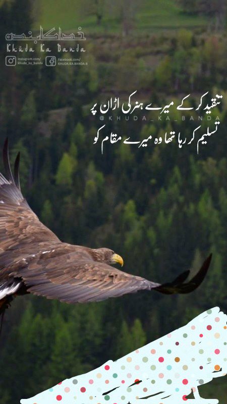 Attitude Poetry image