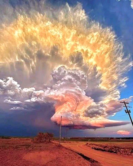 Beautiful Nature image