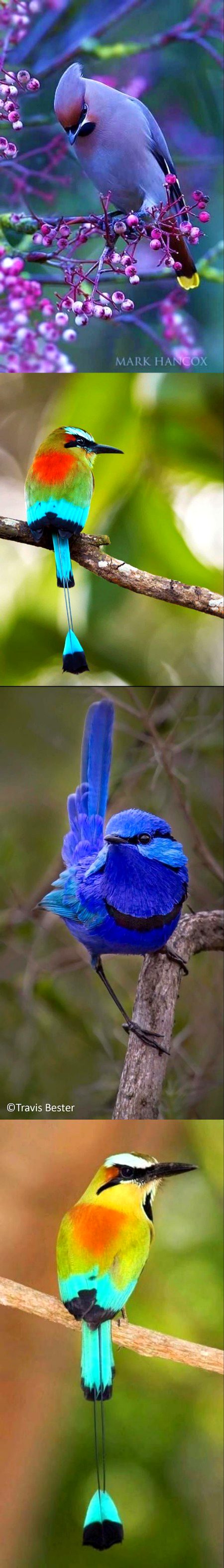 Beautiful Nature image