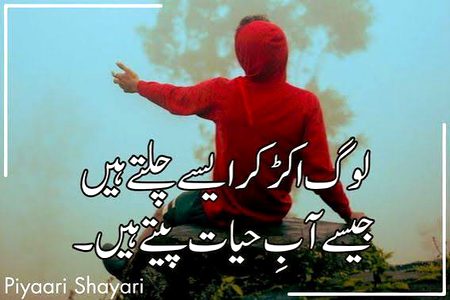 Attitude Quotes image