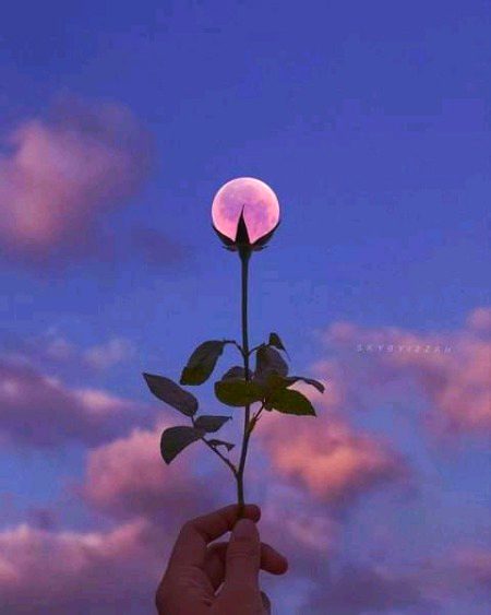 Beautiful Nature image