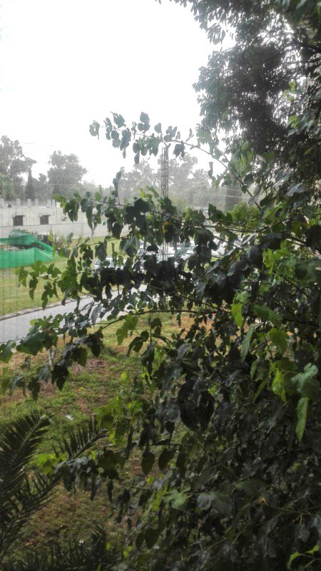 Beautiful Nature image