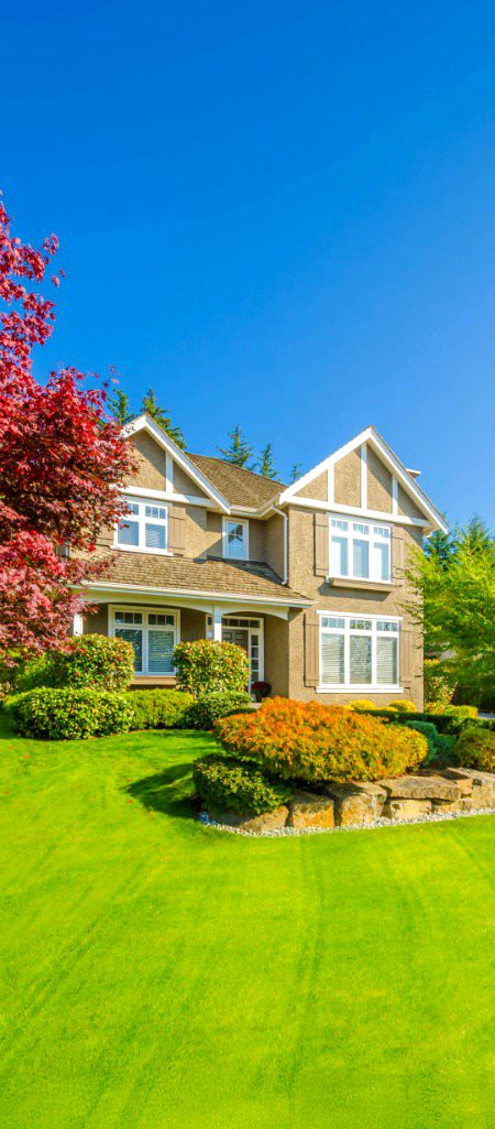 Beautiful Structures image