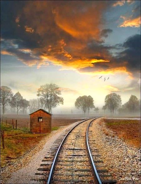 Beautiful Nature image