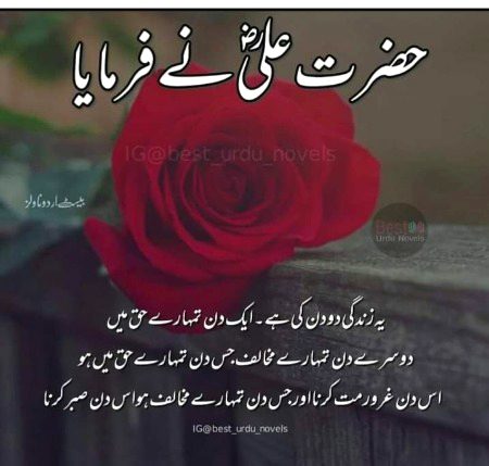 Or jis ny.gurror kia wo doob gya