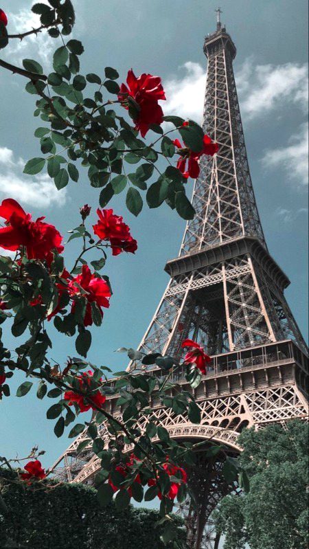Beautiful Structures image