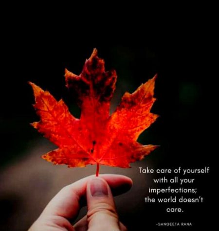 Life Advice image