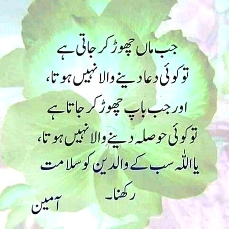 .q3🌺🌻🌼🌷 how🌷🌼🌻 r 🏵🌷u 🌷🌼all🌷🌹
🌺Good 🌺nite 🌷
🌷🌷🌺Ameen..🌷🌷