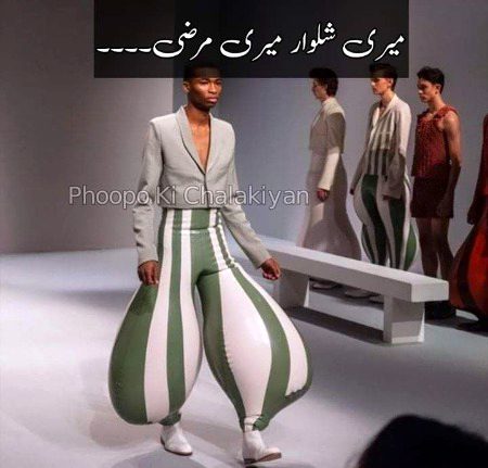 Memes & Satire image