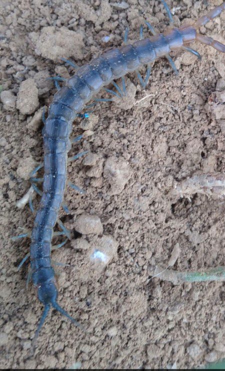 Damadam ki kurrio🙃🙃🙃
 ZaRRaaR💔🥀