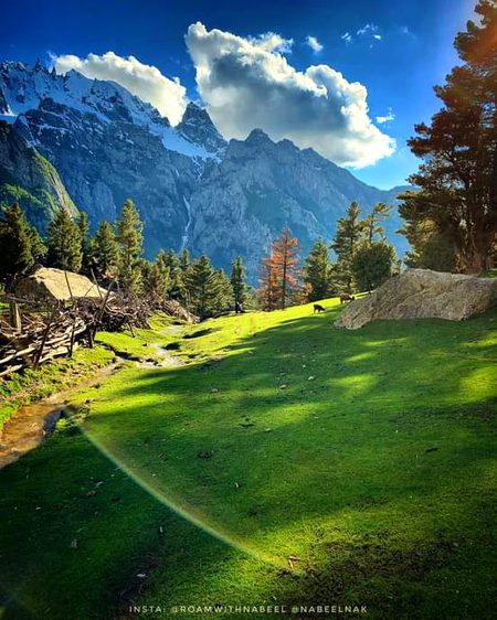 Beautiful Nature image