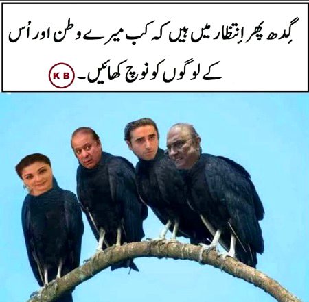 Memes & Satire image