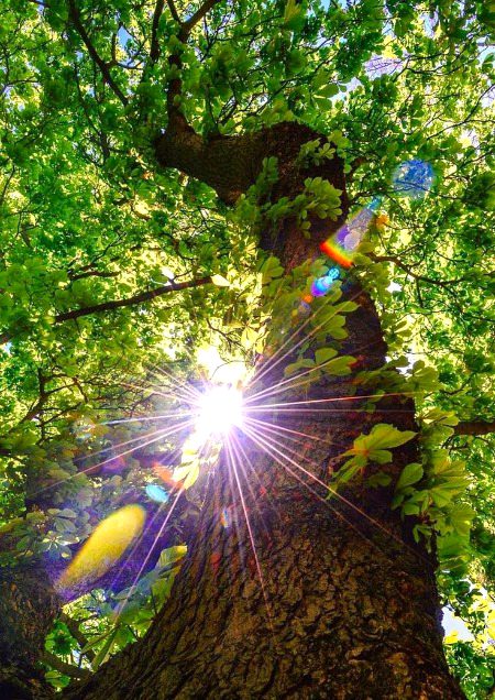 Beautiful Nature image