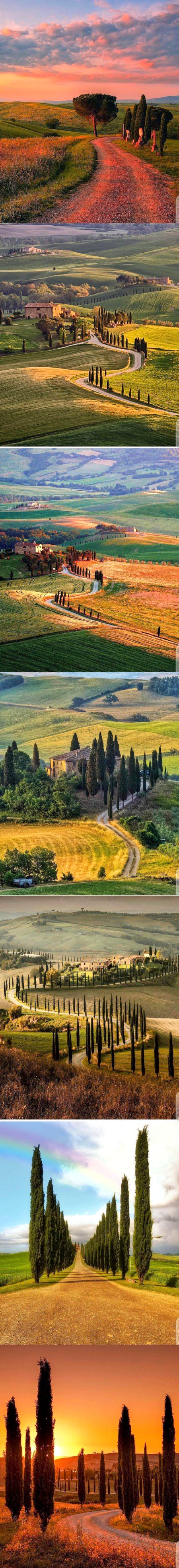 Beautiful Nature image