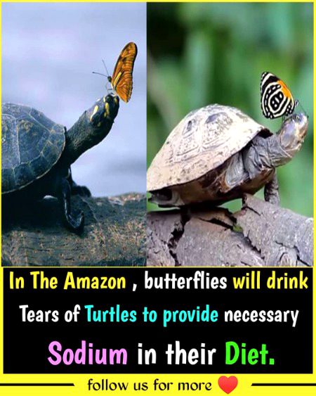 Interesting Posts image