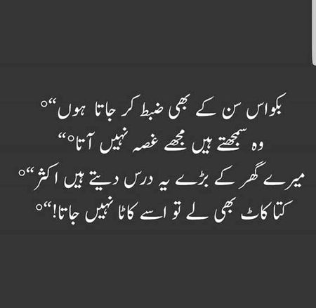 Kuta kat  ly to usy Kata nahi Krty