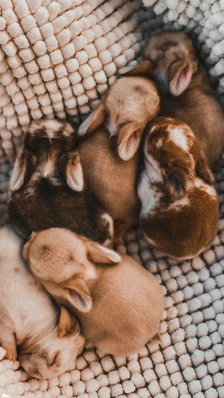 Beautiful Nature image