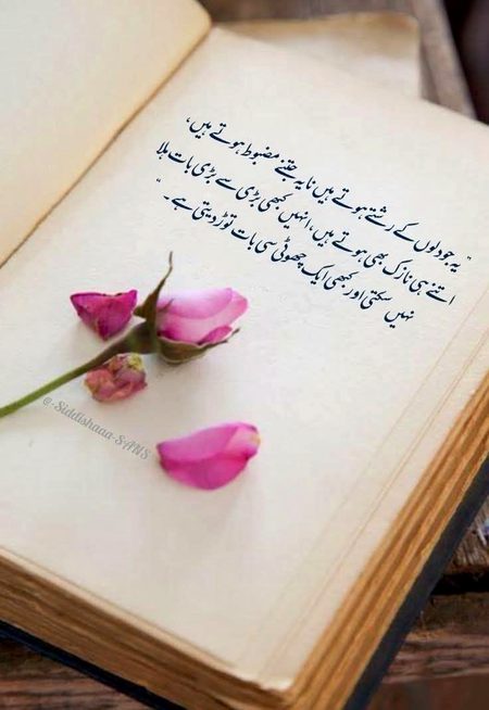 Motivational Quotes image