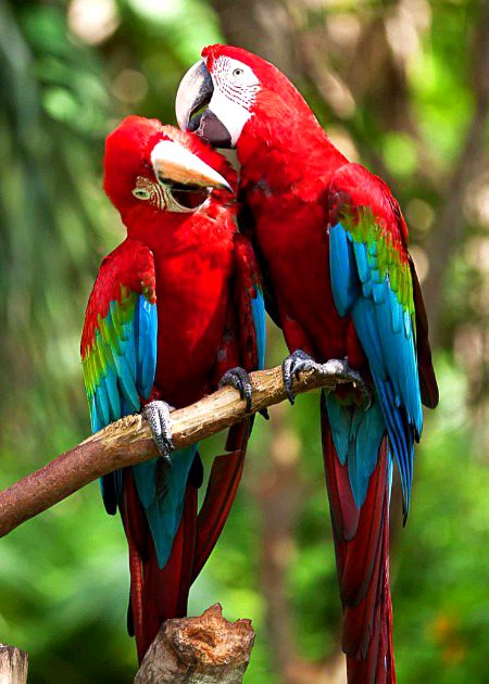 Beautiful Nature image