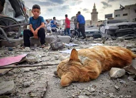 جو مسل دیئے گئے ، ان پھولوں کی 
جو توڑ دیئے گئے
 ان دلوں کی خیر ہو !
💔🌝