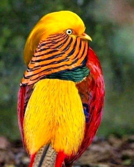 Beautiful Nature image