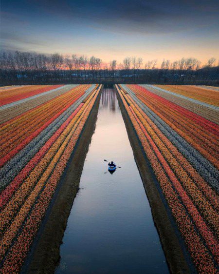 Beautiful Nature image